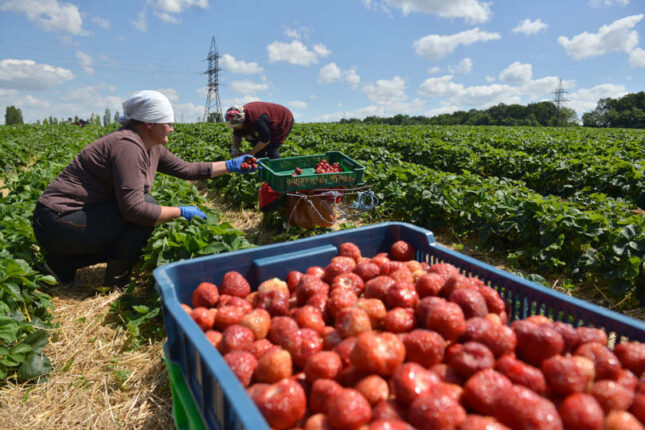 Ukraine agrárium