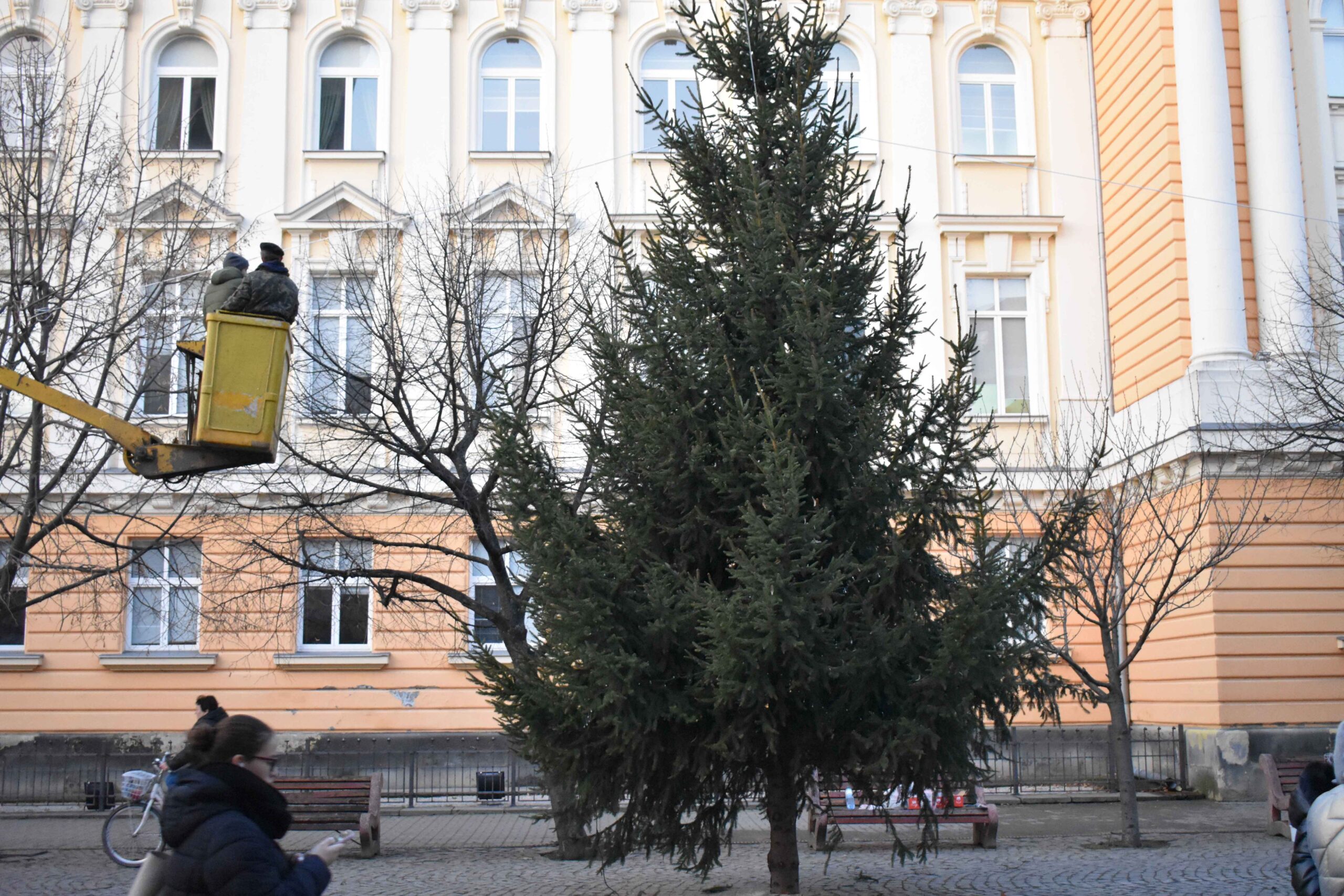 Beregszászban hangolódnak az ünnepre. A főtéren már megkezdték a karácsonyfa felállítását.